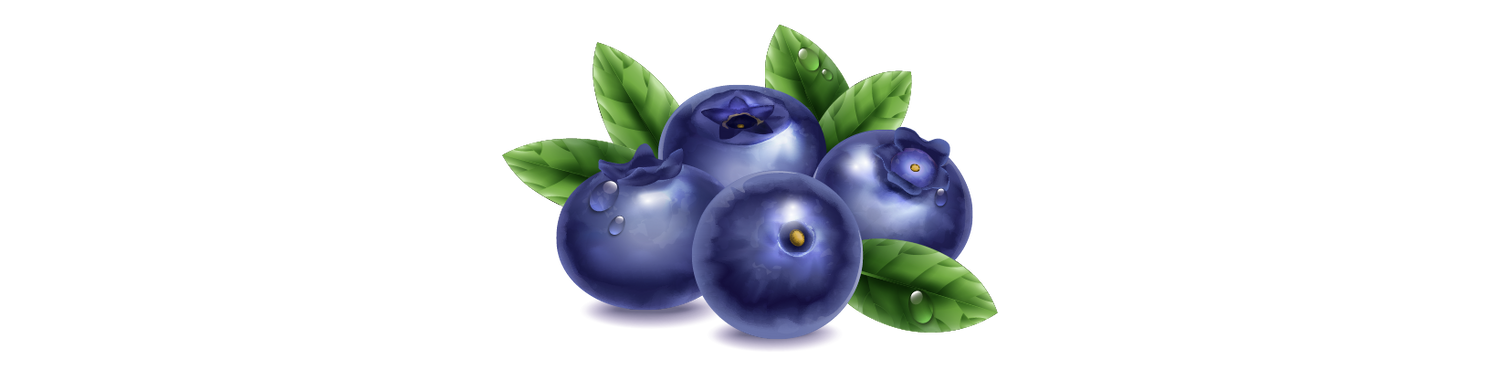 Blueberries with green leaves on a white background Glowx skincare brand in pakistan 