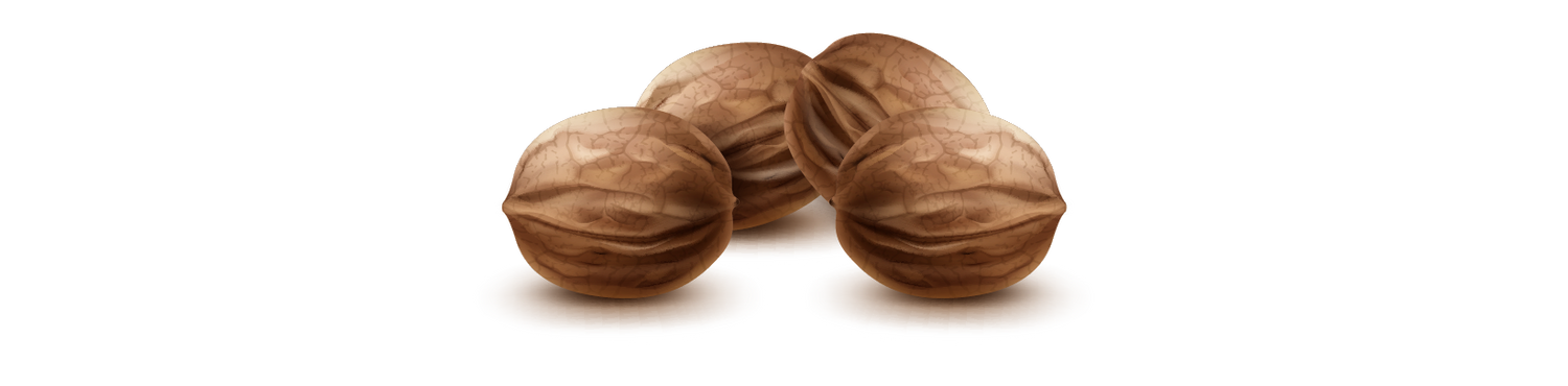 Three walnuts on a white background Glowx skincare brand in pakistan 